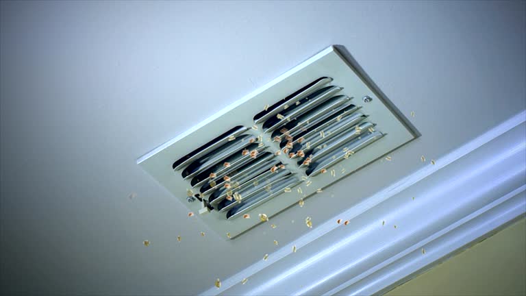 Best Affordable HVAC Duct Cleaning  in Federalsburg, MD
