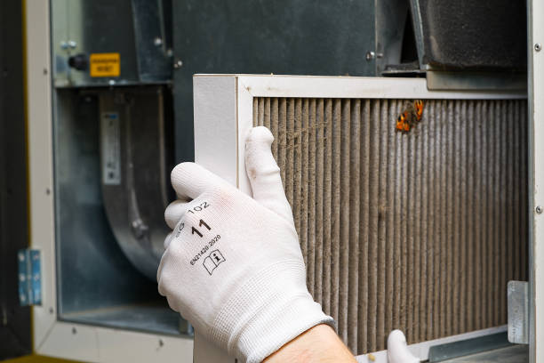 Best Emergency Air Duct Cleaning  in Federalsburg, MD