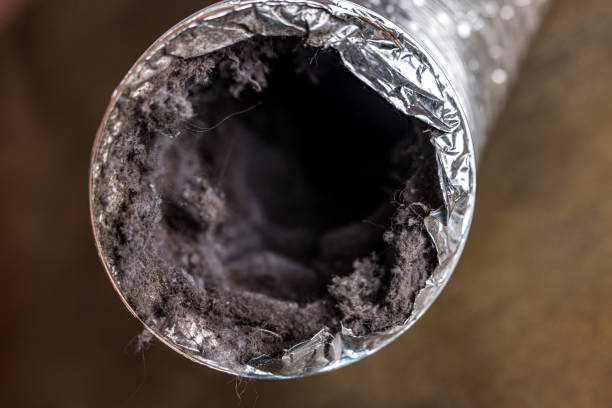 Best Local Air Duct Cleaning Services  in Federalsburg, MD