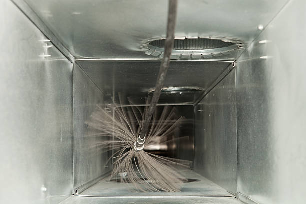Air Duct Mold Removal in MD