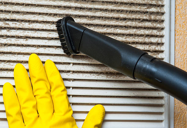 Best Affordable Duct Cleaning Services  in Federalsburg, MD
